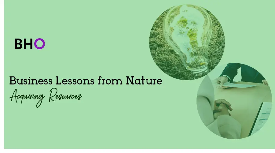 Business Lessons from Nature: Acquiring Resources