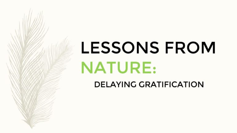 Lessons From Nature: Delaying Gratification