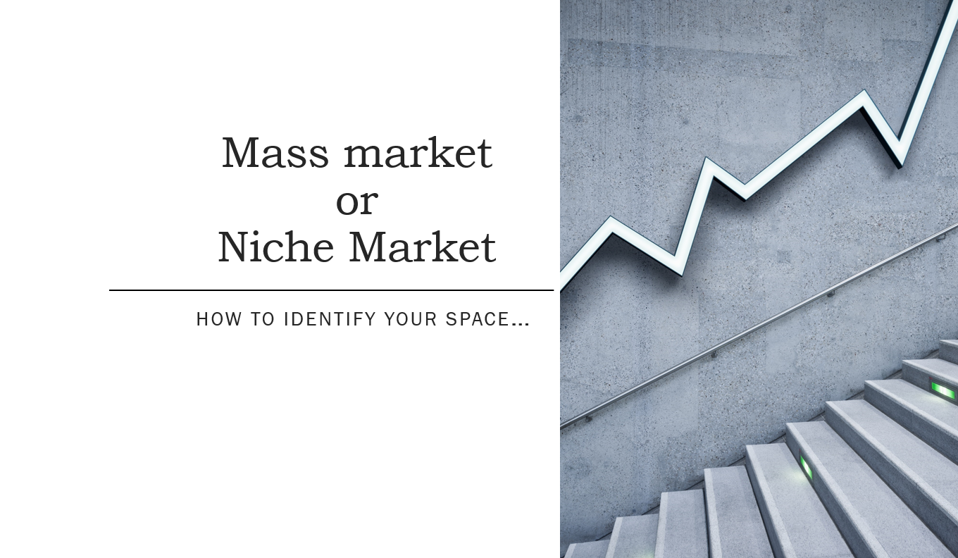 mass-market-or-niche-market-business-hub-one