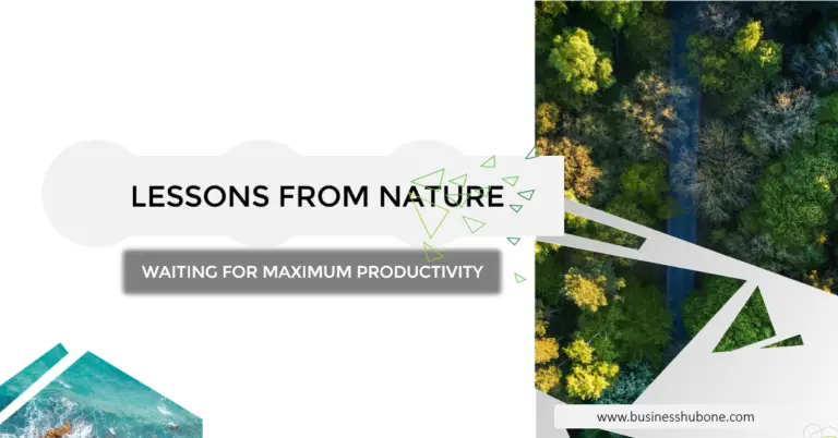 Business Lessons From Nature: Waiting For Maximum Productivity