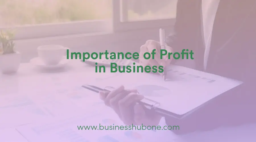 why-is-profit-important-in-business-business-hub-one